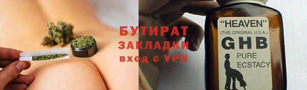 индика Аркадак