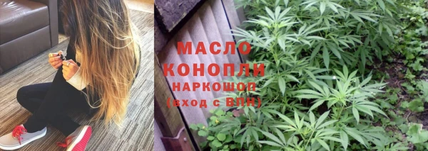 индика Аркадак