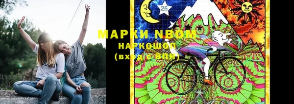 индика Аркадак