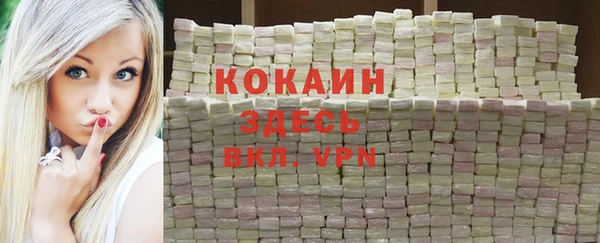 индика Аркадак